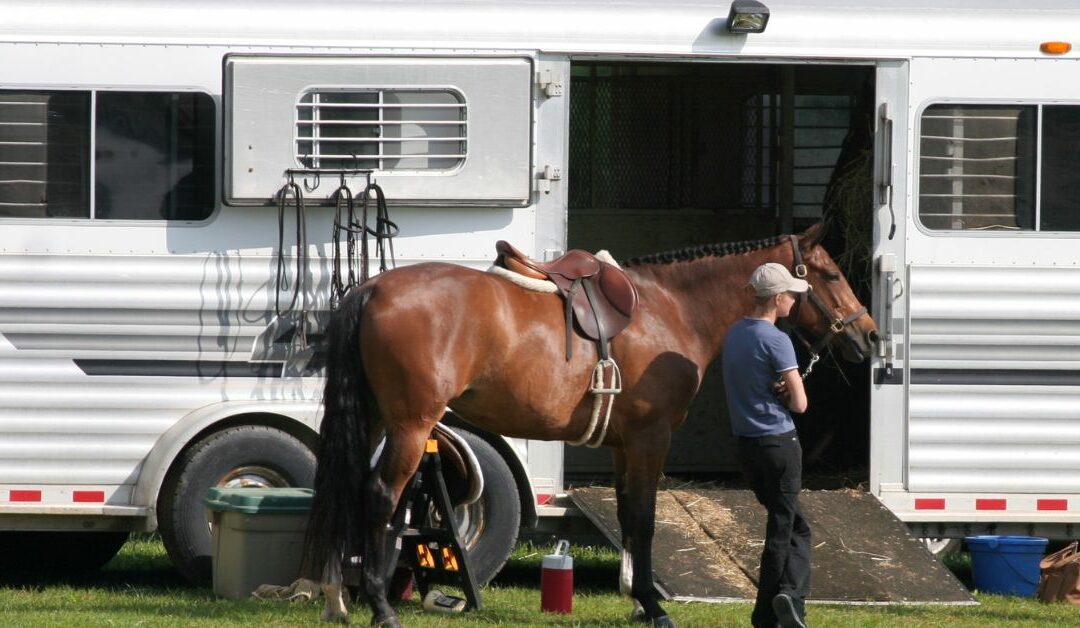 Discover New Horizons with Your Equine Companion: A Step-by-Step Guide to Traveling with Horses