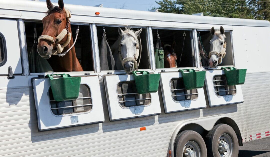 How to Know When to Kiss Your Horse Trailer Tires Goodbye